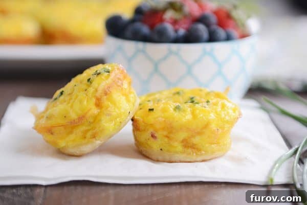 Savory Ham and Cheese Quiche Bites 3 Two mini quiche on a white napkin.