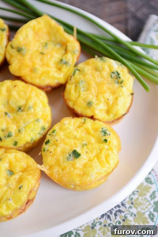 Savory Ham and Cheese Quiche Bites 4 Mini quiche on white platter.