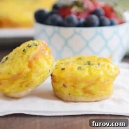 Savory Ham and Cheese Quiche Bites 5 Two mini quiche from the mini quiche recipe on white napkin