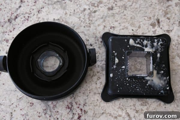 Blendtec vs Vitamix: Which blender is best?