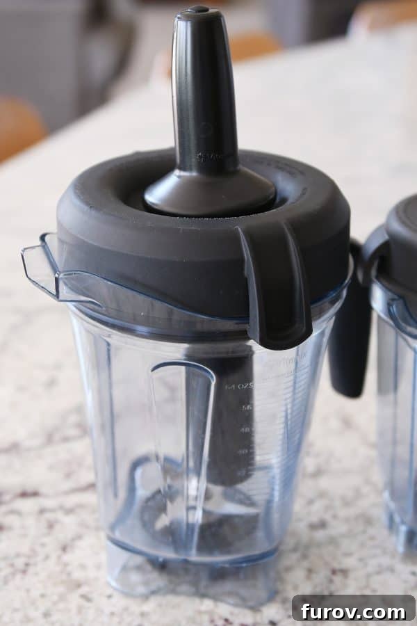 Blendtec vs Vitamix: Which blender is best?