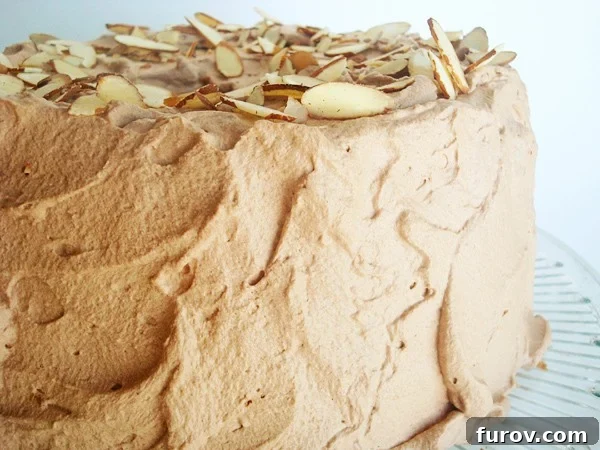 Heavenly Chocolate Angel Cake 2 A stunning Chocolate Cream Angel Food Cake, generously frosted with whipped chocolate cream and adorned with delicate slivered almonds, sits ready to be served.