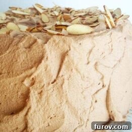 Chocolate Cream Angel Food Cake topped with almonds.