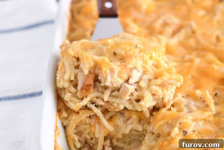 Spatula holding square of cheesy chicken spaghetti in white pan with the rest of the casserole, ready to be served.