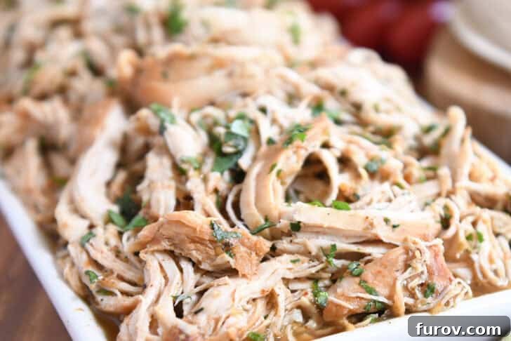 Close up view of shredded chicken topped with chopped cilantro in a white bowl.