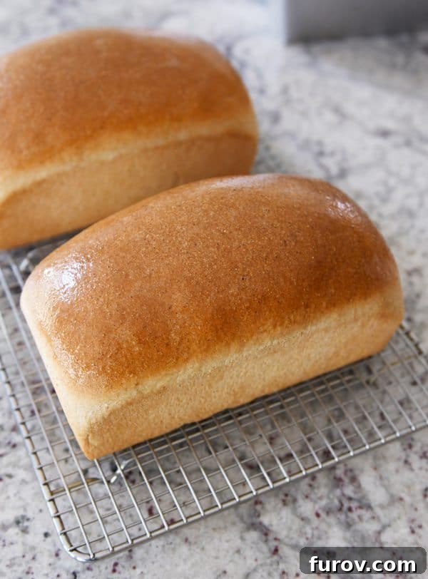 KitchenAid Small Batch Soft Fluffy Whole Wheat Bread Recipe 14 Two warm, buttered loaves of small batch whole wheat bread cooling on a rack, ready to be enjoyed.