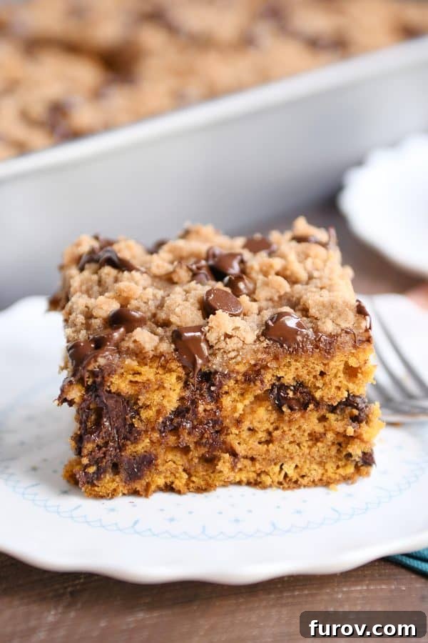 A slice of moist pumpkin chocolate chip streusel cake on a white plate, ready to be enjoyed.
