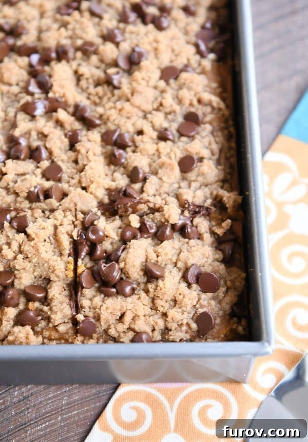 A whole pan of freshly baked pumpkin chocolate chip streusel cake, golden brown and tempting.
