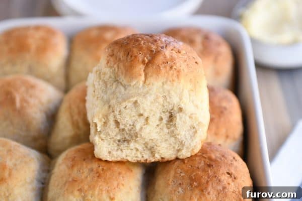 Fluffy honey oat dinner roll sitting on top of pan filled with rolls.