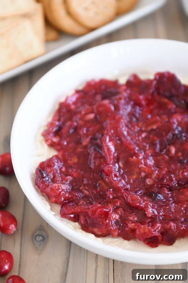 Versatile Cranberry Pecan Cream Cheese Dip 2 Vibrant cranberry pecan cream cheese dip served in a pristine white bowl, garnished with fresh cranberries and toasted pecans.