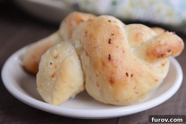 Simple Parmesan Garlic Knots 14 Two golden-brown Parmesan breadstick knots delicately placed on a pristine white plate, ready to be enjoyed.