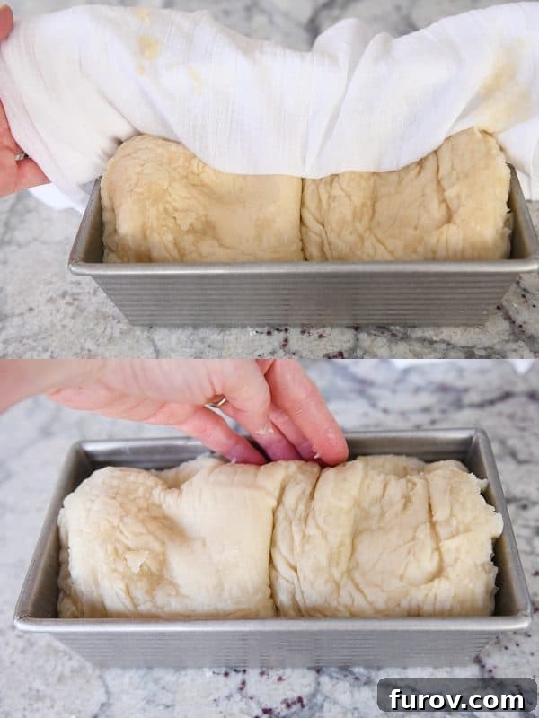 An uncooked, boiled loaf of bagel bread being carefully placed back into a metal loaf pan, ready for its topping and subsequent bake.