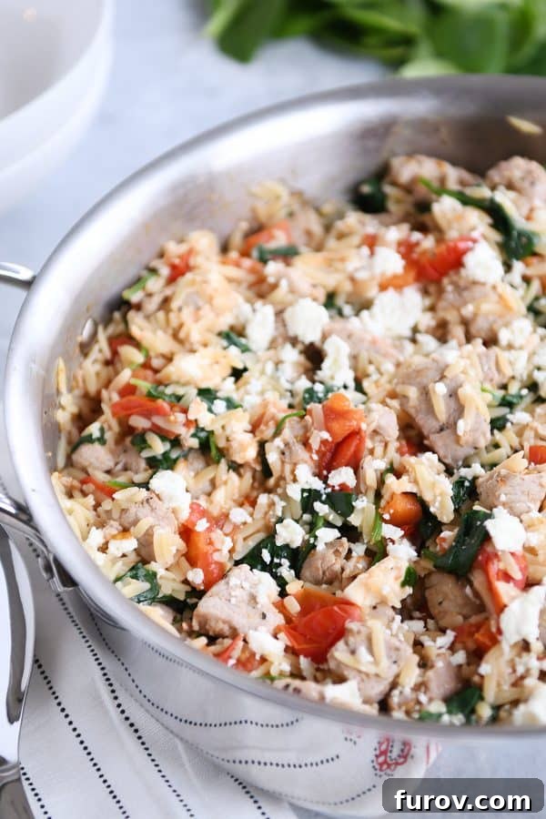 Stainless pan filled with Mediterranean orzo skillet with pork, garnished with fresh herbs.