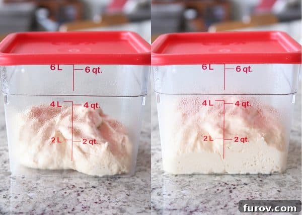 Master Cheryl's Famous Cinnamon Rolls: A Step-by-Step Guide to the Best Recipe and Baking Secrets 19 A side-by-side comparison showing cinnamon roll dough before rising (left) and after it has doubled in size (right) in a clear container.