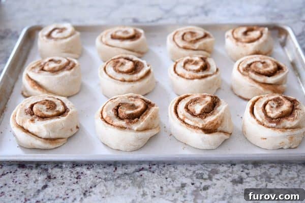 Master Cheryl's Famous Cinnamon Rolls: A Step-by-Step Guide to the Best Recipe and Baking Secrets 23 Unbaked cinnamon rolls, spaced evenly on a parchment-lined half sheet pan, rising to perfection.