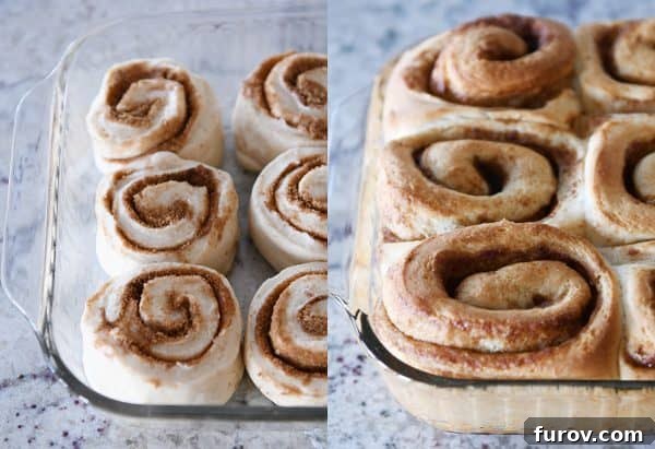 Master Cheryl's Famous Cinnamon Rolls: A Step-by-Step Guide to the Best Recipe and Baking Secrets 24 A comparative image showing cinnamon rolls rising and baked in a crowded glass pan on the left (gapped, unevenly cooked) versus properly spaced on the right (fluffy, even).