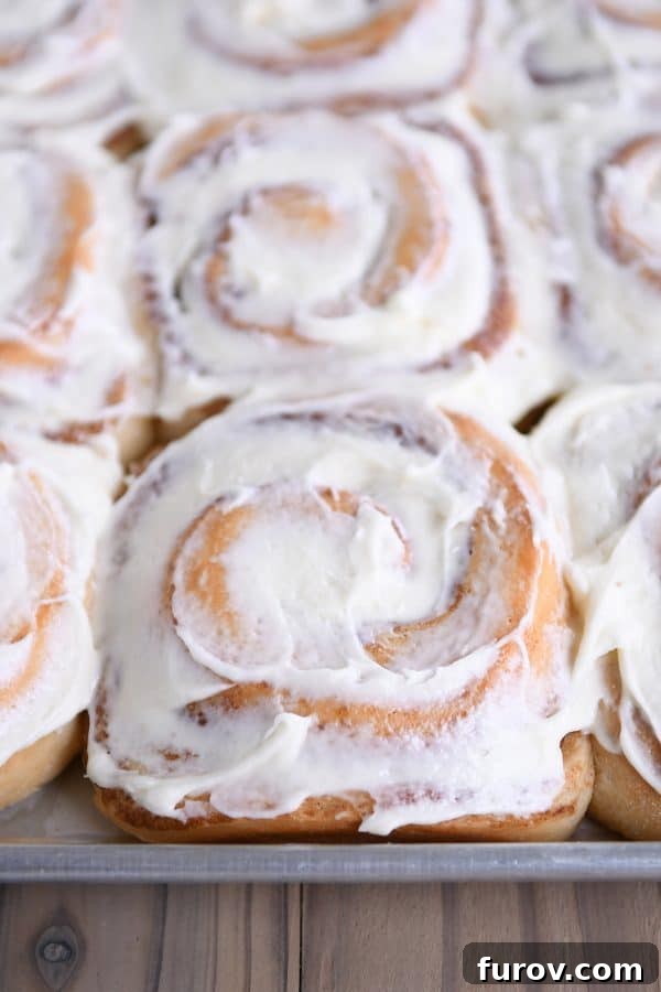 Master Cheryl's Famous Cinnamon Rolls: A Step-by-Step Guide to the Best Recipe and Baking Secrets 5 A half sheet pan filled with golden-baked, generously frosted cinnamon rolls, ready to be enjoyed.