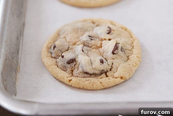 The Best Soft Chocolate Chip Cookie Recipe
