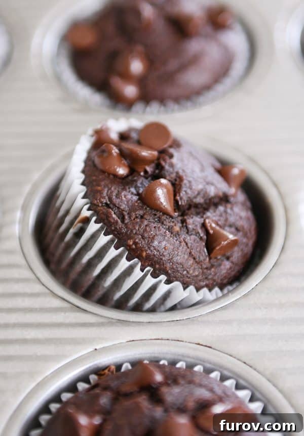 Decadent Gluten-Free Double Chocolate Banana Blender Muffins 2 Delicious Double Chocolate Banana Blender Muffin resting on its side in a metal muffin tin, showcasing its rich texture and chocolate chips.