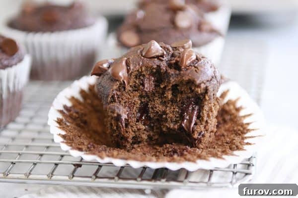 Decadent Gluten-Free Double Chocolate Banana Blender Muffins 3 Close-up of a Double Chocolate Banana Blender Muffin with a bite taken out, revealing its moist interior and generous chocolate chips on top.