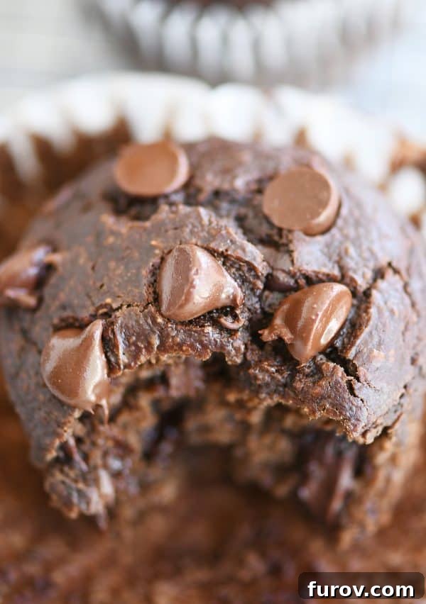 Decadent Gluten-Free Double Chocolate Banana Blender Muffins 8 Extreme close-up view of a double chocolate banana blender muffin with a bite taken out, highlighting the rich chocolate chips and moist interior.