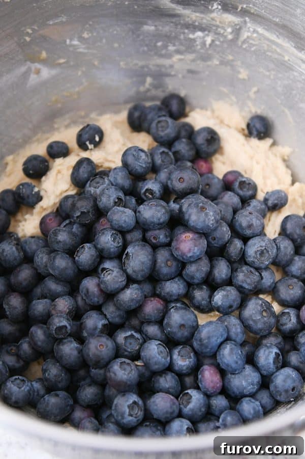 Blueberry Muffin-Top Cookies 5 Blueberries added to cookie batter in stainless bowl.