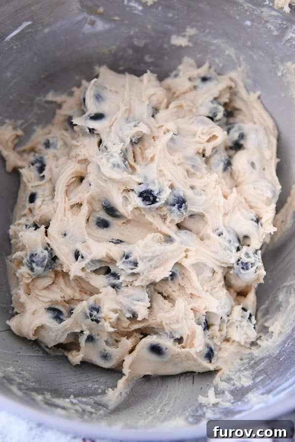Blueberry Muffin-Top Cookies 6 Blueberry muffin cookie batter in stainless bowl.