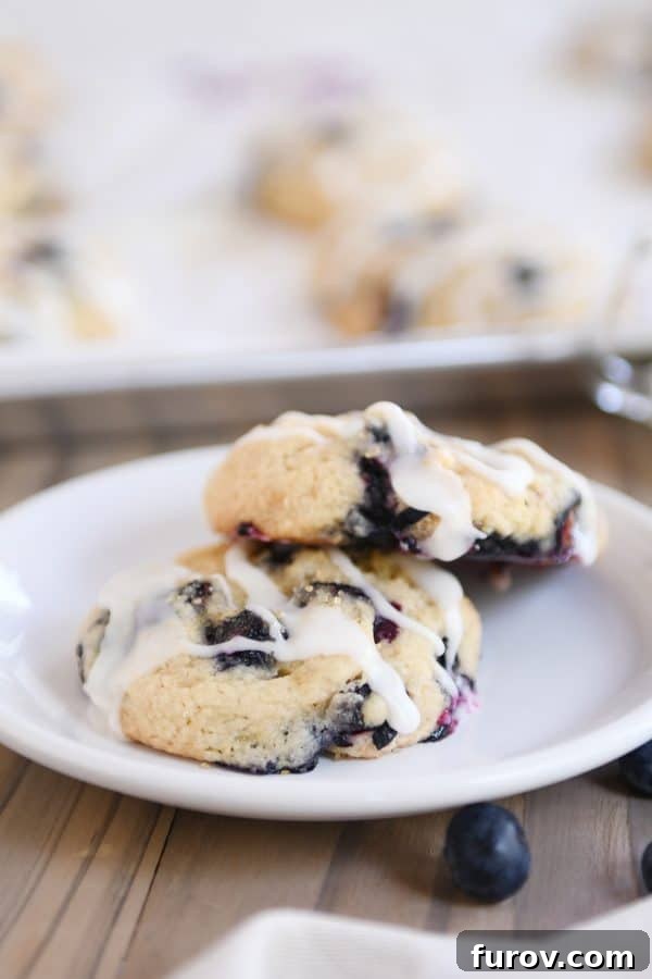 Blueberry Muffin-Top Cookies 8 Two blueberry muffin cookies on white plate.