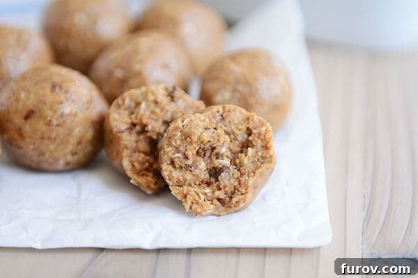 Back-to-School Meal Prep: Easy Dinners, Smart Lunches, and Quick Snacks 6 Delicious and healthy master energy bite recipe