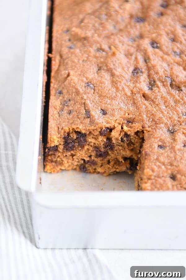 A perfectly cut piece of moist pumpkin chocolate chip snack cake sitting in a metal baking pan.