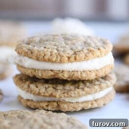 Two homemade oatmeal cream pies stacked on each other.