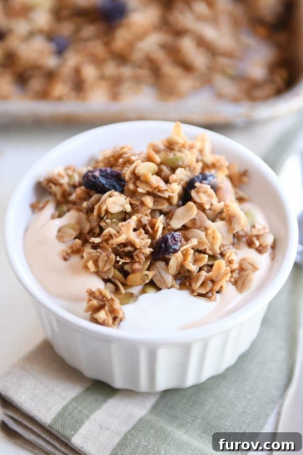 White bowl with yogurt and brown butter pecan granola and craisins.