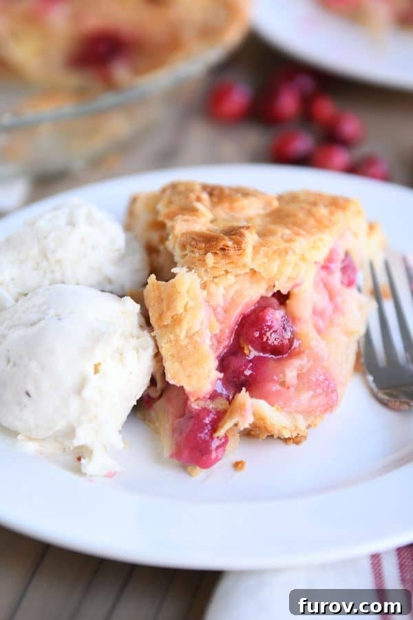 My Favorite Thanksgiving Apple Cranberry Pie 2 Slice of apple cranberry pie on white plate with ice cream.