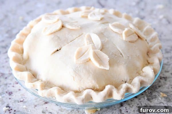 My Favorite Thanksgiving Apple Cranberry Pie 12 Unbaked apple cranberry pie with top crust and slits in the top.