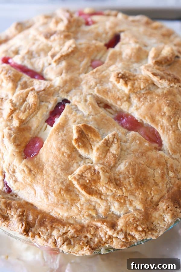 My Favorite Thanksgiving Apple Cranberry Pie 15 Baked apple cranberry pie.