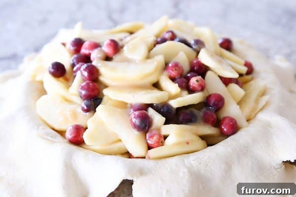 My Favorite Thanksgiving Apple Cranberry Pie 9 Apple cranberry filling in pie crust.