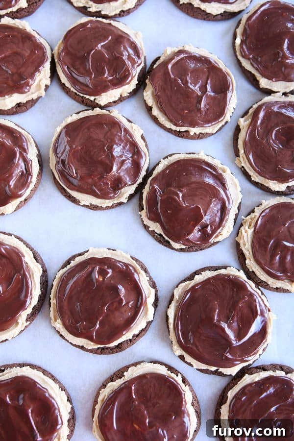 A top-down view of a large batch of chocolate peanut butter buckeye cookies arranged neatly on a baking sheet.