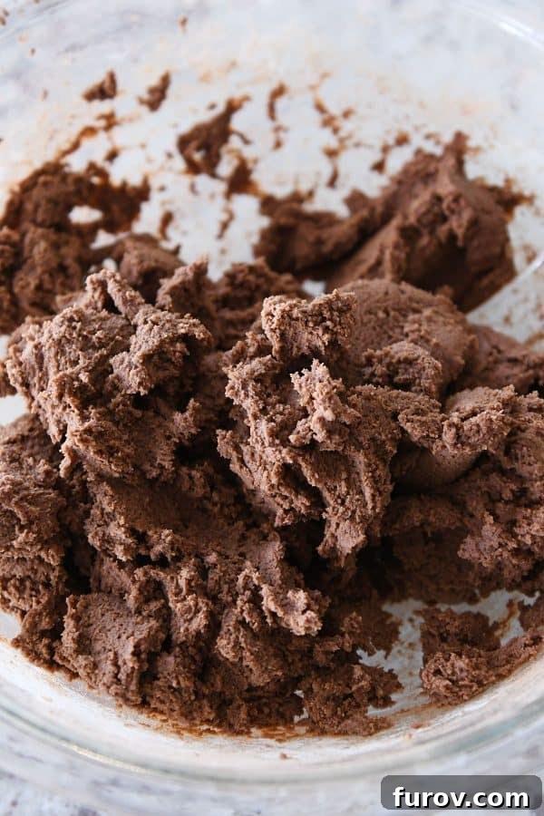A bowl filled with rich, dark chocolate cookie dough, ready for scooping.