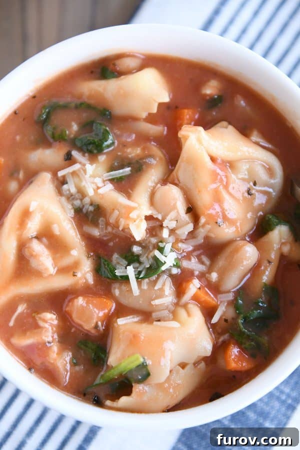 A top-down view of a bowl of creamy Tuscan tortellini soup, beautifully presented with vibrant colors and a steaming, inviting appearance.