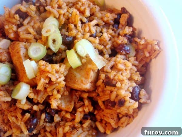 A white bowl brimming with tender red chile chicken, fluffy rice, and hearty black beans, garnished with fresh cilantro.