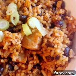 Close-up of One-Pot Red Chile Chicken with Rice and Black Beans in a bowl.