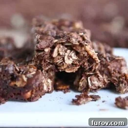 close view of broken dark chocolate brownie granola bar