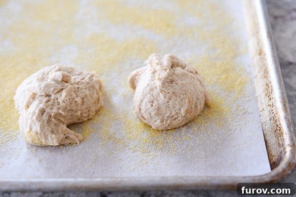 Simple Homemade English Muffins No Mixer Whole Grain 12 Ragged balls of english muffin dough.
