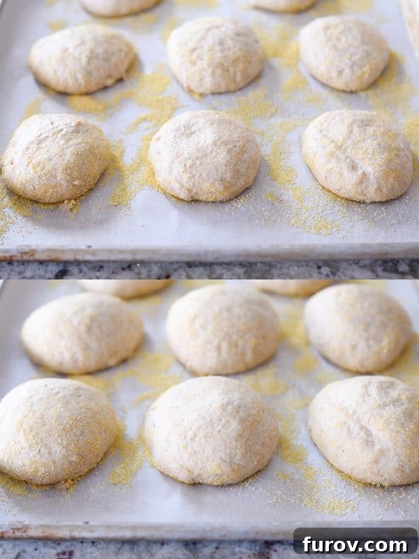 Simple Homemade English Muffins No Mixer Whole Grain 14 Unrisen and risen easy homemade english muffins on parchment lined baking sheets.