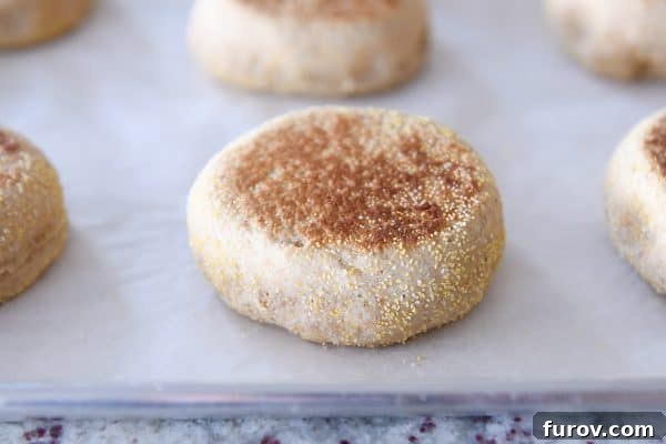 Simple Homemade English Muffins No Mixer Whole Grain 18 Baked english muffin on parchment lined baking sheet.