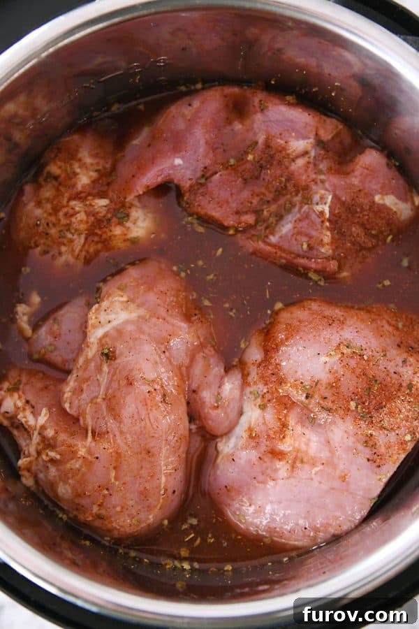 Ultimate Instant Pot BBQ Pork Tacos 6 The seasoned pork roast carefully placed inside an Instant Pot, immersed in the flavorful liquid mixture of broth, root beer, and BBQ sauce.