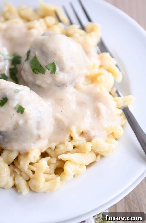 Whip Up Perfect German Spaetzle Quick Video Guide 13 White plate with homemade German spaetzle noodles and meatballs.