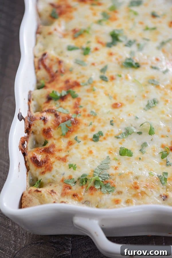 A pan full of baked green chile chicken enchiladas with melted cheese and chopped cilantro covering the top. 