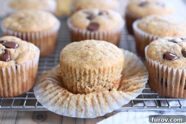 Freshly baked muffins