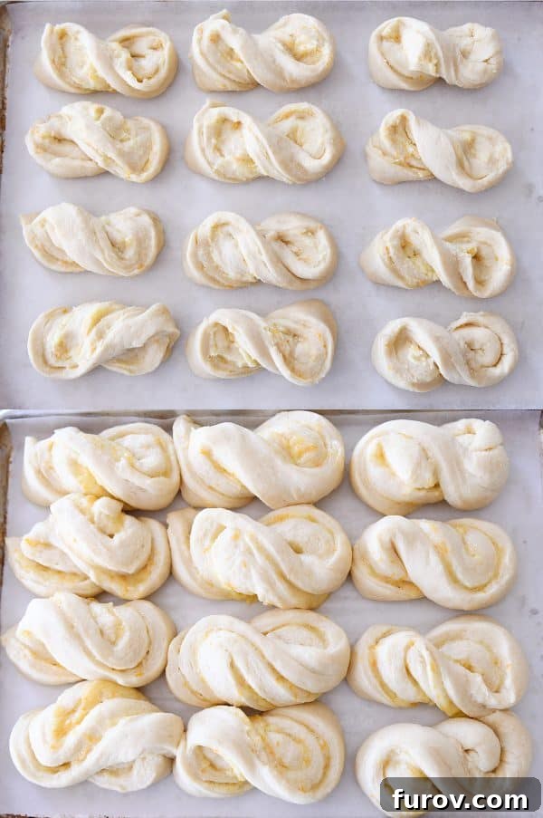 Perfected Homemade Orange Sweet Rolls 12 Perfectly risen homemade orange sweet rolls, shaped in a twist, on a parchment-lined sheet pan, ready for baking.